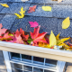 Leaves in a gutter
