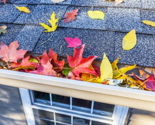 Leaves in a gutter